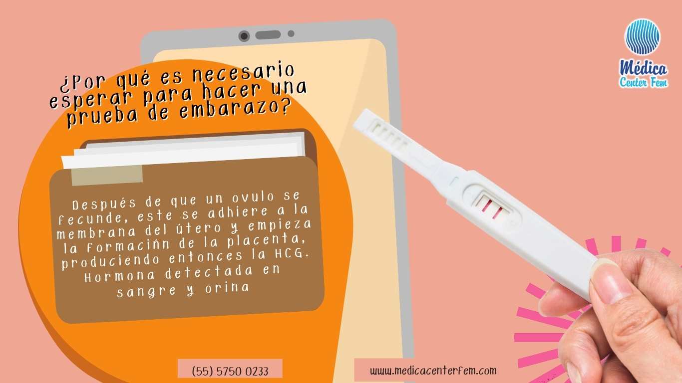test-de-embarazo